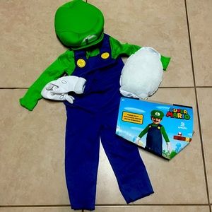 2T Luigi Costume